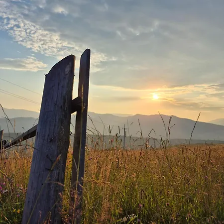 бабусині маєтки Lazeshchyna
